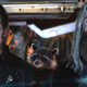 Image for article titled Here's What the io9 Staff Is Most Looking Forward to in 2022